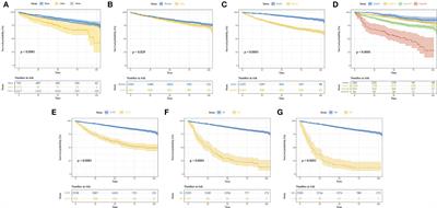 A novel nomogram and risk classification system predicting the overall survival of patients with papillary renal cell carcinoma after nephrectomy: A population-based study